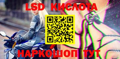гашик Донской