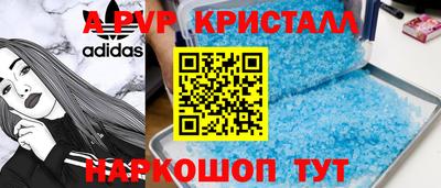 гашик Донской