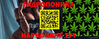 гашик Донской