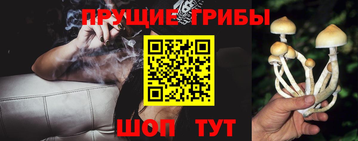 Псилоцибиновые грибы мухоморы Ленинск-Кузнецкий