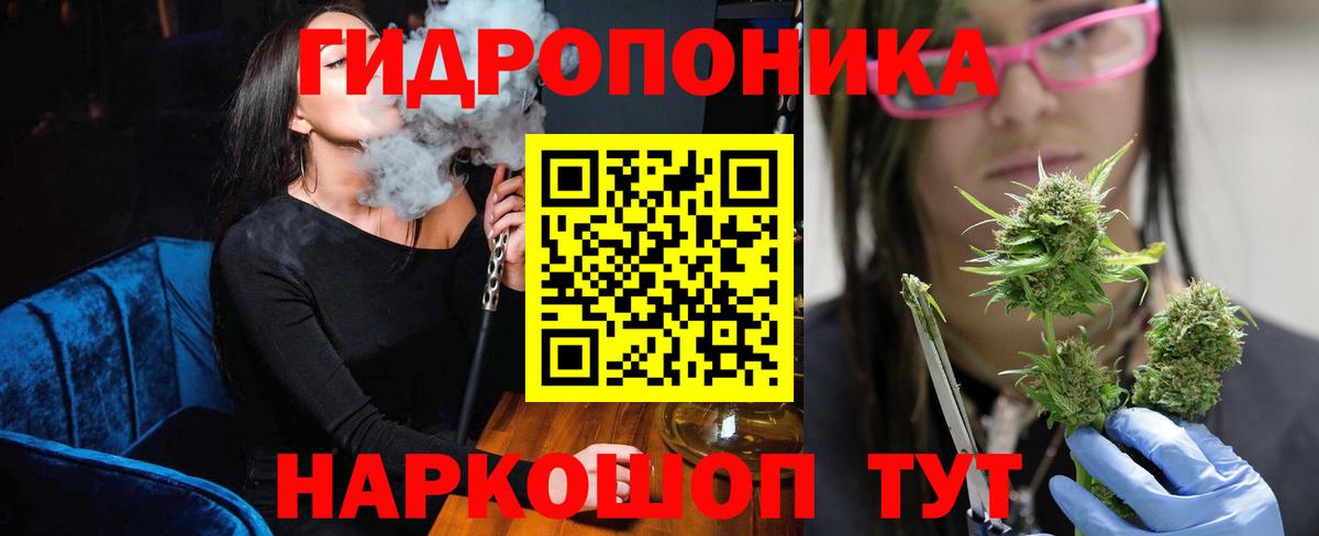 Каннабис конопля  Бошки марихуана White Widow  Конопля Ganja  Вход с VPN  Ленинск-Кузнецкий  Каннабис OG Kush 